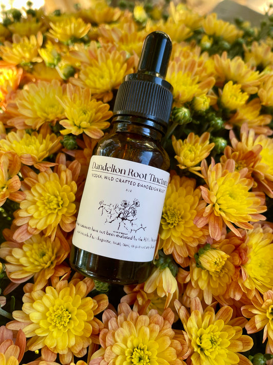 Dandelion Root Tincture